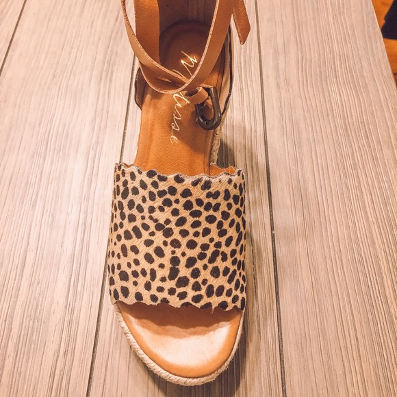 NEW IN BOX - Leopard Roma Matisse Wedge Sz 8 - Picture 3 of 3